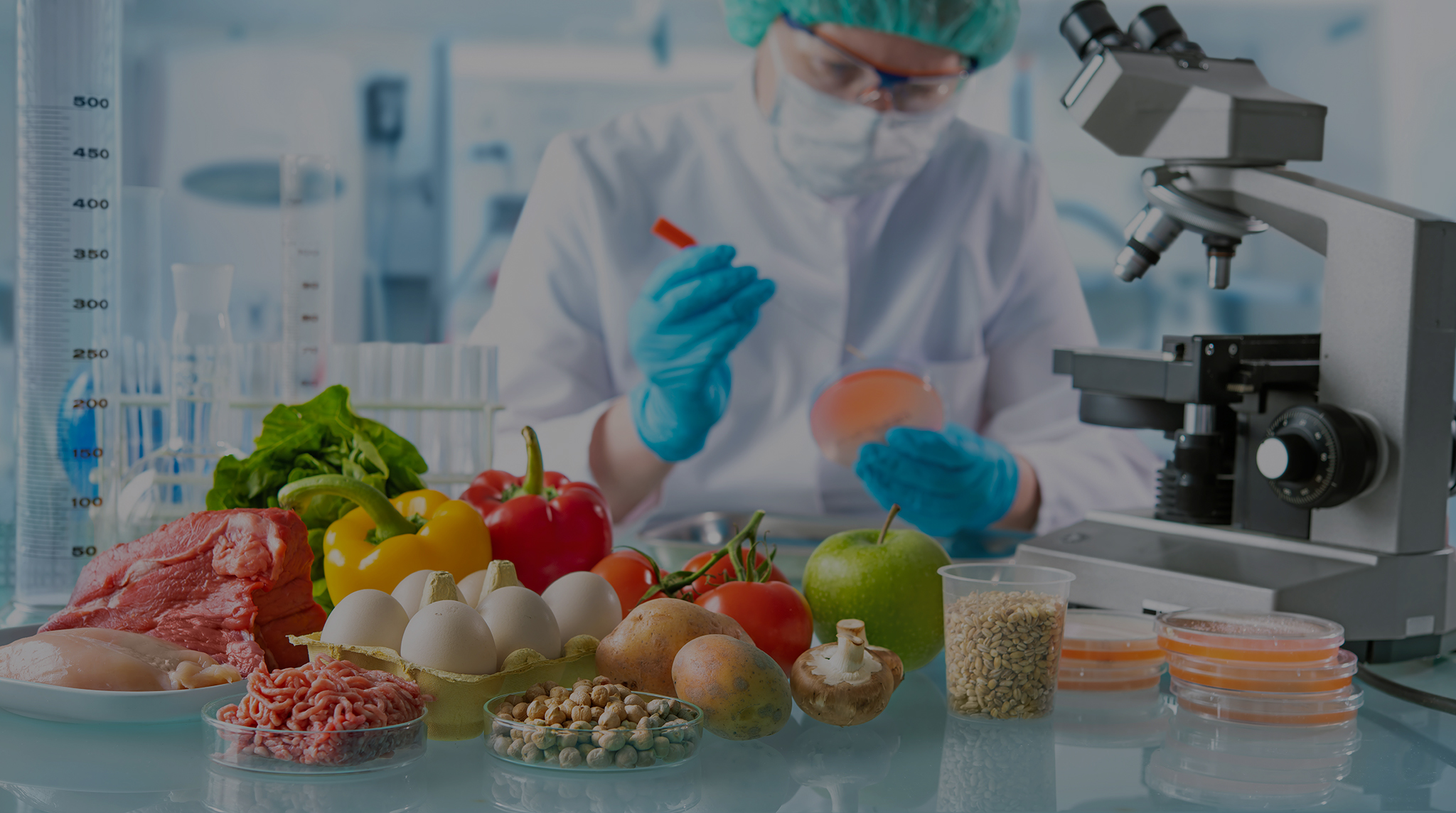 Haccp e igiene degli alimenti